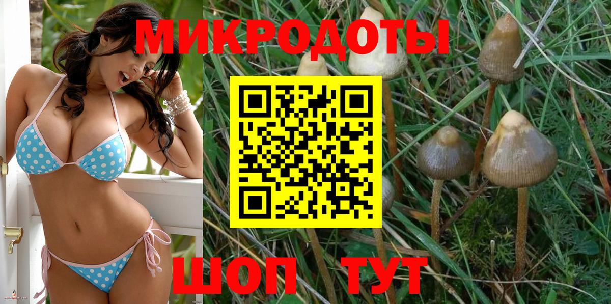 Псилоцибиновые грибы GOLDEN TEACHER  Галлюциногенные грибы Magic Shrooms  Вход с VPN  Сарапул 